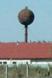 Brosteni