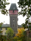 Andernach 2