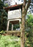 Ubut (Bali) 286